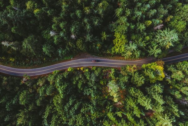 track and trace sendcloud