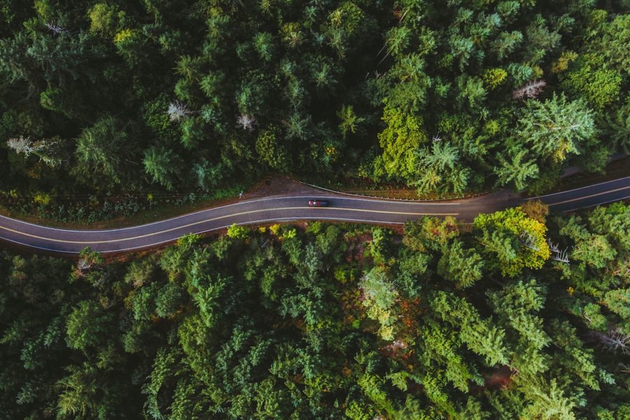 track and trace sendcloud