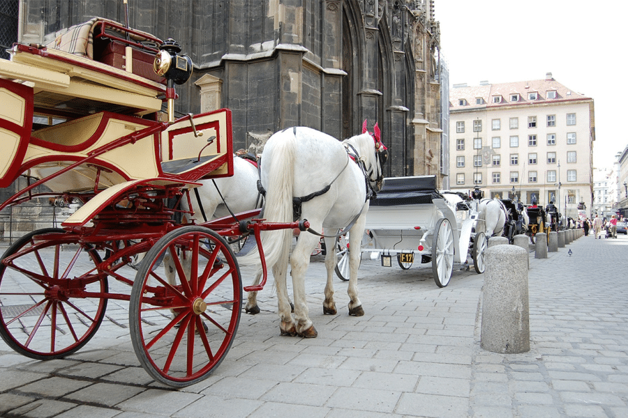 Versand nach Österreich: Das sollten Sie als Onlinehändler wissen
