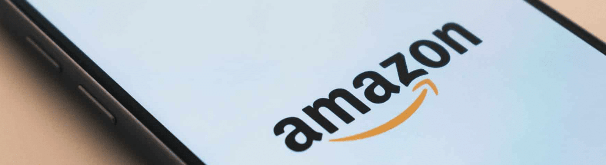 Fulfillment By Amazon (FBA) gestoppt: FBA Alternativen während COVID-19