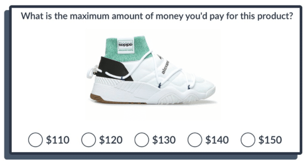 Measuring the Willingness to pay: customer surveys