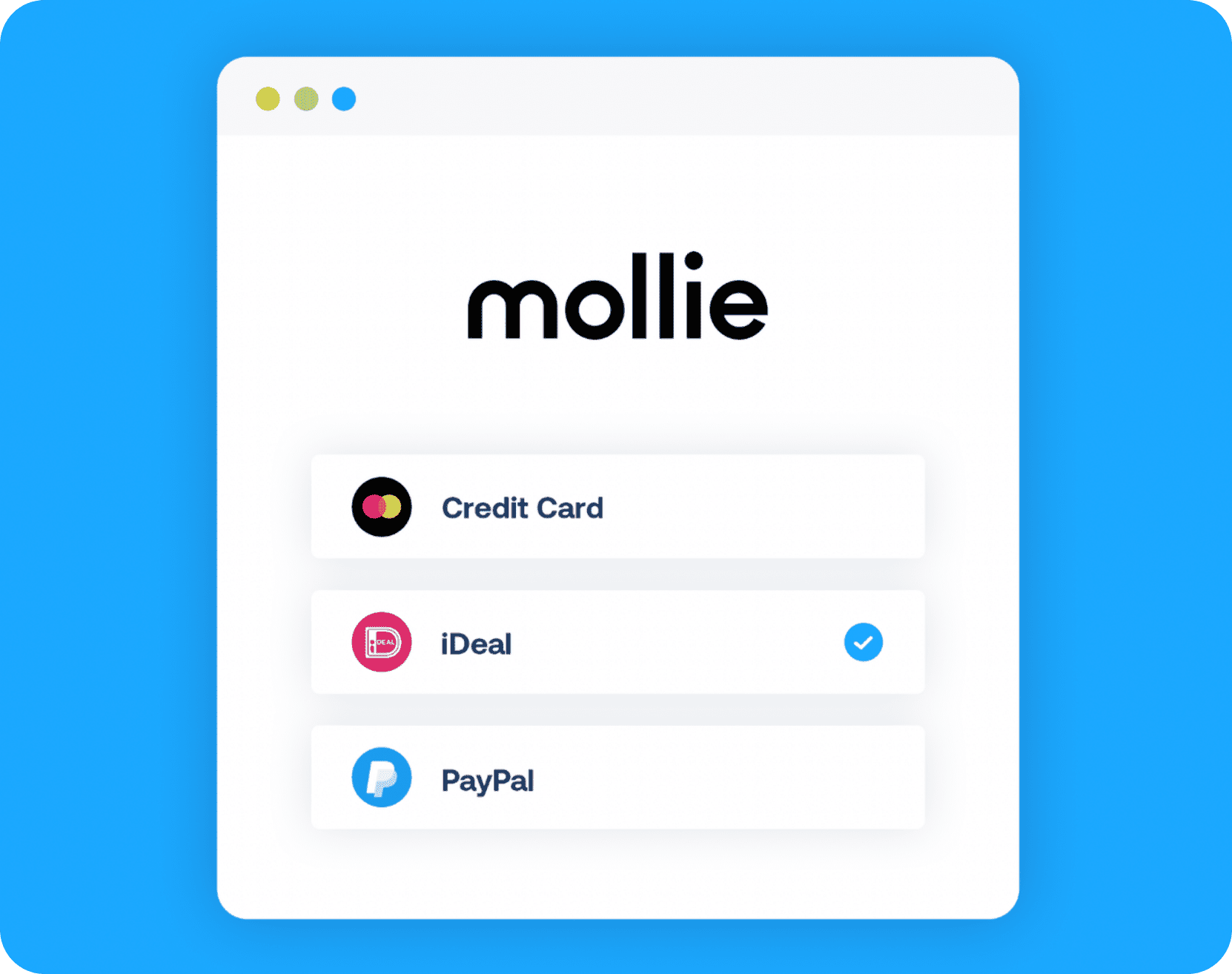 Paid Returns Checkout