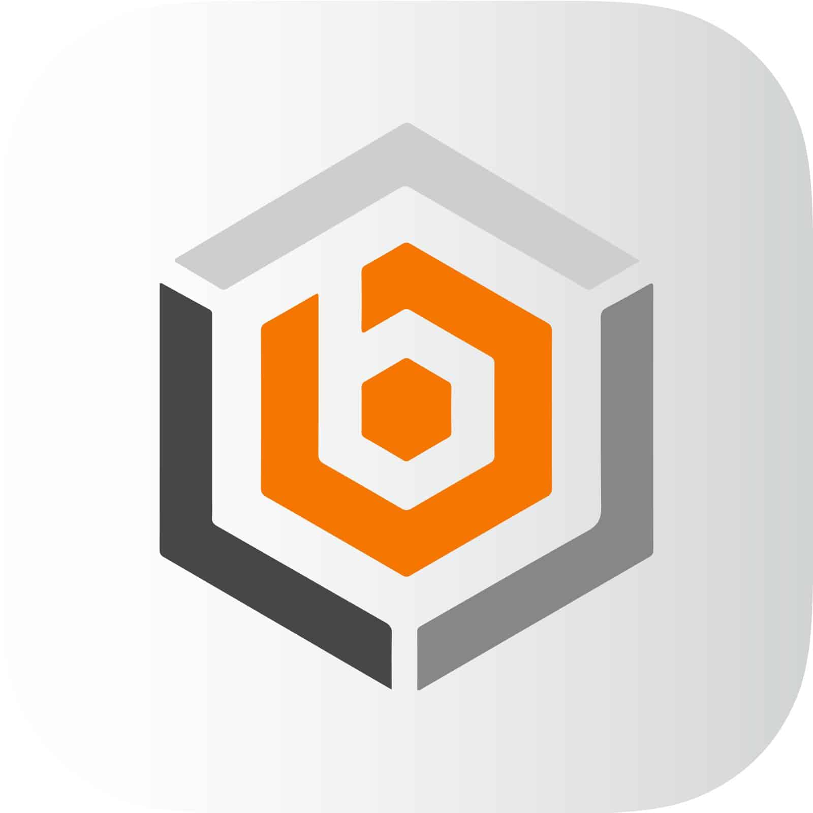 Bizbloqs logo icon